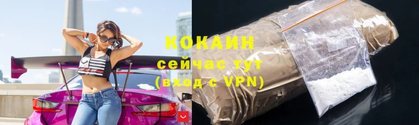 соль ск Абаза